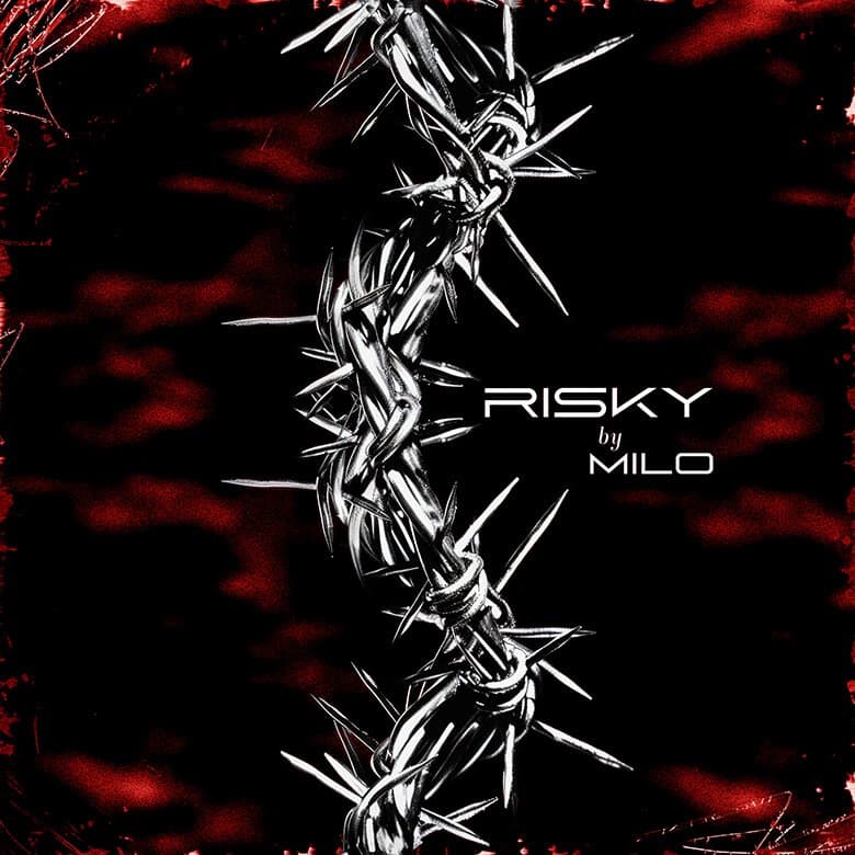Risky Roads