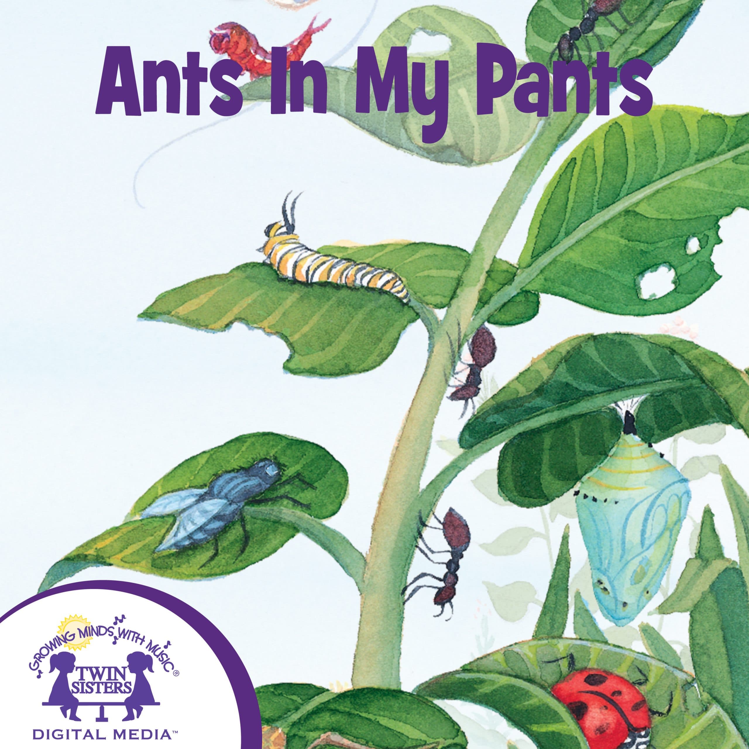 Antz in my Pantz